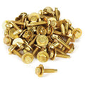 Body Bolt 1-1/8in 50pk Gold