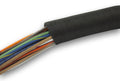 1/8 inch Classic Braid 20 ft