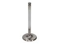 Manley VALVE-R/F TOYOTA 1FZ-FE 38.0mm EA
