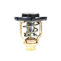 THERMOSTAT KIT
