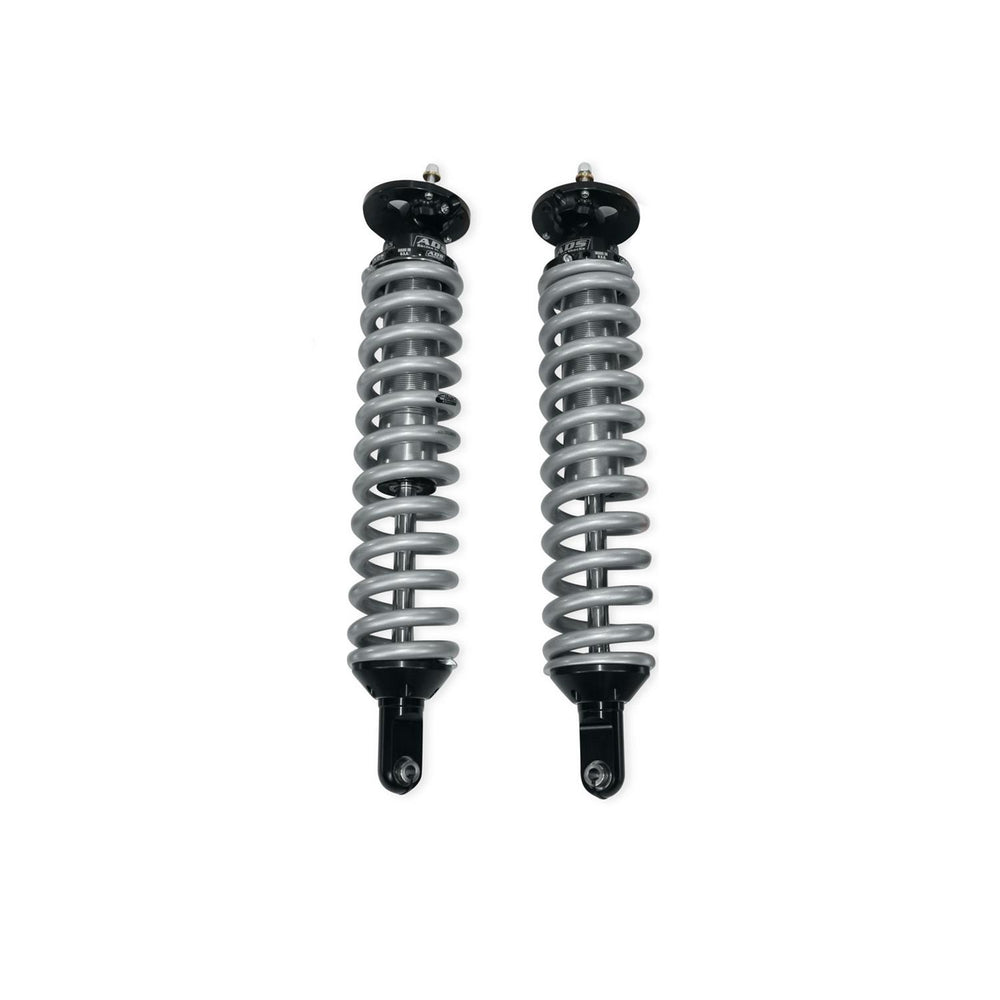 Arizona Desert Shocks auto part