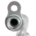 HOSE ASSEMBLY