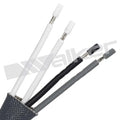 Walker Products Inc. - Sensors auto part detail