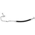 HOSE ASSEMBLY