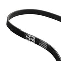 Pacific Performance Engineering Serpentine Belt - Ford 6.7L Powerstroke 2023-2025 Dual Alternator - Forward