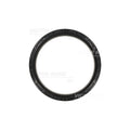 Engine Crankshaft Seal - 81-53077-00