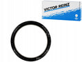 Engine Crankshaft Seal - 81-53077-00