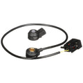 DELPHI auto part detail