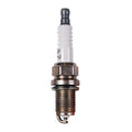 Expansion Plugs - 1in 100pk