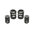Industrial Injection 94-98 Dodge 12V AFC Spring Kit