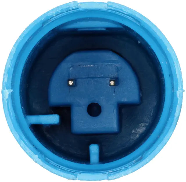 DELPHI auto part