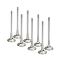 Supertech Honda B16A/B18C Inconel Exhaust Valve - +0.5mm Oversize - Single (Drop Ship Only)