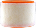 AIR FILTER EXTRA GUARD