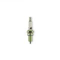 SPARK PLUG 2 PAK