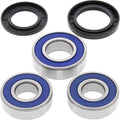 All Balls Racing 95-99 Cagiva RIVER 500 Wheel Bearing Kit - Rear