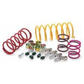 EPI 16+ Polaris Ranger XP/Crew/ Xpedition /RZR PRO R/S/ RZR XP Turbo/4 Primary Spring Silver