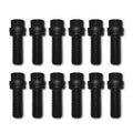 Wedge Locking Header Bolts - 3/8 x 1in (12)