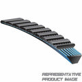 Gates 3L 3/8in x 55in