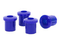 Leaf Spring and Shackle Bushing Kit