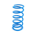 EPI 98+ Polaris EBS Clutches ATV Secondary Spring Blue
