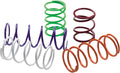 EPI 2025 Can-Am 700 Com./MAX/HD7/850-1000 Outlander/MAX Secondary Spring Blk Stamped 216-300 lbs