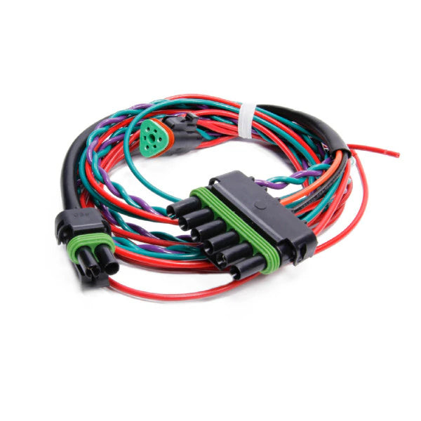 6 PIN IGNITION HARNESS
