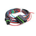 6 PIN IGNITION HARNESS