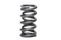 1.274 Dual Valve Springs - (16) GM LS
