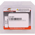 All Balls Racing Wheel Bearing Kit