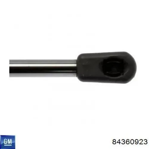 GM Performance strut brace