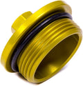 Large Inspection Plug