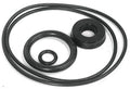 Seal Kit for 4700/4100 Series Pumps