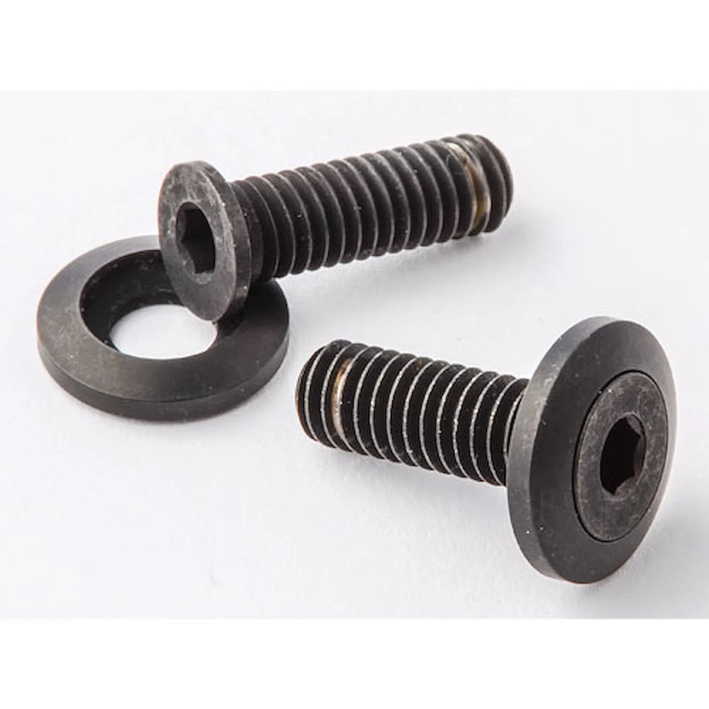 5/16-18 X 1in SS Bolts Black Pair