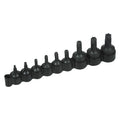 9 PC. TORX SET