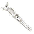 SFI 16.1 2' L&L PULL DOWN LAP BELT