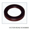 Engine Camshaft Seal - 81-34368-00