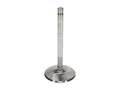 Manley VALVE-SBF R/F 1.850 EA