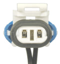 SOCKET