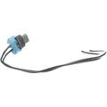 SOCKET