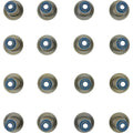 Fel-Pro Ford F-150 SS 72891 Engine Valve Stem Oil Seal Set