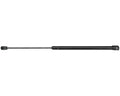BACK GLASS LIFT SUPPORT