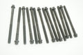 Engine Cylinder Head Bolt Set - 14-32001-01