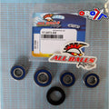 All Balls Racing 04-06 Honda CBF250 (Euro) Wheel Bearing Kit Rear