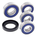 All Balls Racing 04-06 Honda CBF250 (Euro) Wheel Bearing Kit Rear