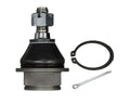 DELPHI auto part detail