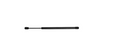 SS 6MM EX 15' CMP 9.5'