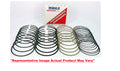 Piston Ring