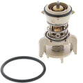 THERMOSTAT INSERT