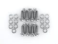 ARP Valve Cover Stainless Steel 1/4in x 20 Hex Bolt Kit (14/pkg)