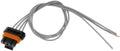 PIGTAIL OR SOCKET
